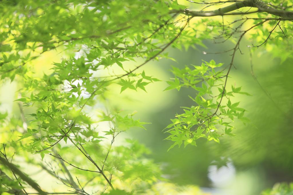 Oushuku Onsen Choeikan Shizukuishi المظهر الخارجي الصورة